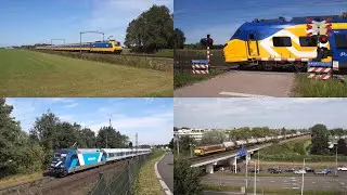 THROWBACK: twee zonnige dagen in Zuid-Nederland | 25 en 26 augustus 2025