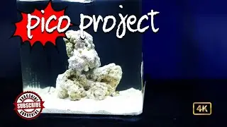 pico reef project  pt.1