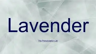 Lavender Pronunciation: How to Pronounce Lavender &mdash; How to Say Lavender?
