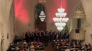 Tuo armon valkokyyhky – Vanajan Mieskuoro
