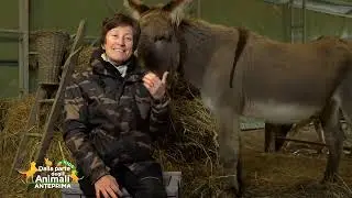 ELISA CHE HA LASCIATO IL LAVORO PER VIVERE CON GLI ASINI