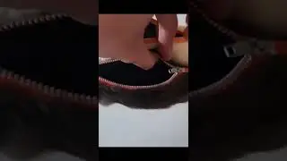 Rat Pencil Cases #funnyinstagramvideos