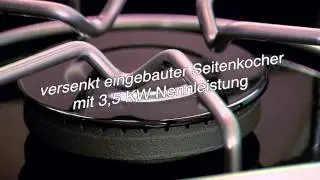 Weber Genesis E-330 Gasgrill Modell 2013