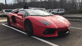 Best of Lamborghini in New Jersey - Pure Sound!