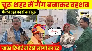 Churu में बंदरों की दहशत से जनता मांगे मुक्ति, Ground Report में देखें कैसा बताया डर का माहौल