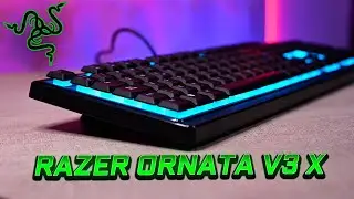 Review Teclado Gamer CALIDAD/PRECIO RAZER ORNATA V3 X 2024