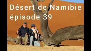 Désert de namibie épisode 39