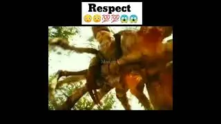 Respect