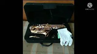 Sample Suara Baby Saxophone Peganini- The Original Sound