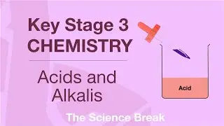 Key Stage 3 Chemistry - Acids and Alkalis