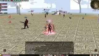 Metin2 kid Cheff in map1