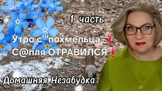 Утро с 