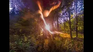 Rasa in Silence  ॐ  Anuttara  Project