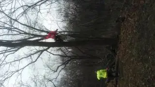 Brock's tree service.