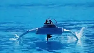 Disney&rsquo;s Aquatic Robots Are Real &mdash; And They Look Like the Future of Dolphinariums