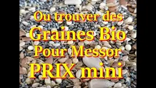 O&ugrave; trouver des m&eacute;langes de  Graines pour vos fourmis ( Messor) bio et pas CHER !! Medoc72