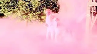 COLOR POWDER WATERFALL! Extreme Gender Reveal! Chameleon Colors
