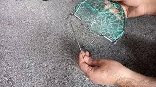 how to use live trap humane cage hunting for bird pigeon pest