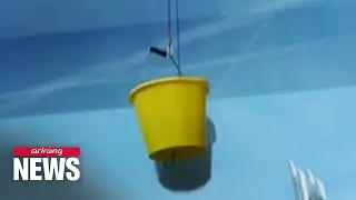 Ducklings born on Manchester rooftop rescued