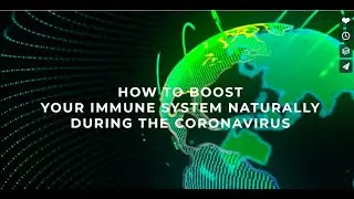 Boost your Immune System during COVID-19