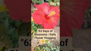 63 Days of Blossoms Daily Flower Vlogging🌼#viral #shorts #trending #foryou #ytshorts #reels #explore