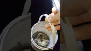 Sulo | cari kepiting ketika air surut part 12 #matapancing
