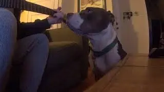 Singing A Classic To My Girl, Audrey Underfoot Slobberbox Elliot Dennison