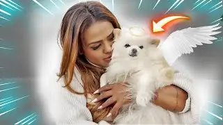 A SANDY SE FOI...