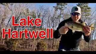 Lake Hartwell Bass Fishing Tournament 3-08-25