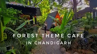 Forest theme Cafe in chandigarh || TuBu (TurgerBurger) review ||