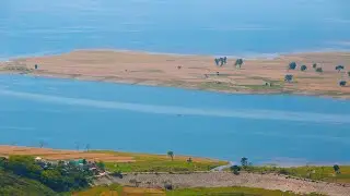 Palak