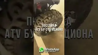 cf moto 650 квадроцикл купить с аукциона в китае  #chinacar