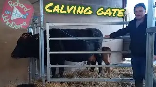 New calving gate. How did weaning go?