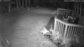 20250901 212631 Fox jumping backyard combined