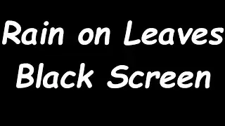 Rain on Leaves Black Dark Screen 🌚💧 white noise ambience sleep no thunder no ads study read