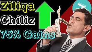 Невероятная прибыль от торговли CHILIZ Coin и Zilliqa (ZIL) менее чем за 24 часа!