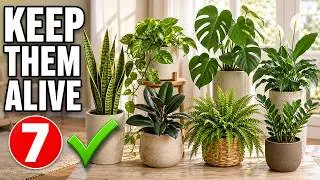 7 Step Guide to Keep ANY House Plant Alive