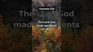 His grace ❤️ #scripture #bibleverse #fyp #bibleversecorner #bible #viral #quotes #motivation #facts