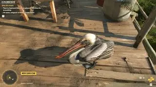 Far Cry 6 A little birdie told me treasure hunt HD subscribe