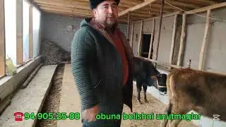 SHOHOBIDDIN AKAMIZGA SIFATLI PULI YENGIL HUNOJINLAR KELDI SHOSHILAMIZ