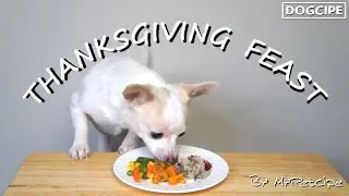 Thanksgiving Feast | Homemade Dog Food Recipe | MyPetcipe
