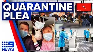 International pilots call for end to QLD&rsquo;s quarantine rules | Coronavirus | 9 News Australia