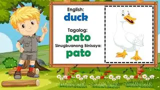 Name of Animals in the Community