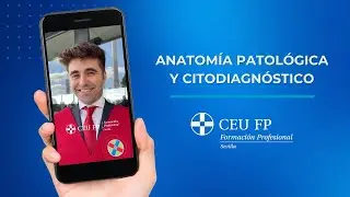 Anatom&iacute;a patol&oacute;gica y citodiagn&oacute;stico |&nbsp;CEU FP Sevilla