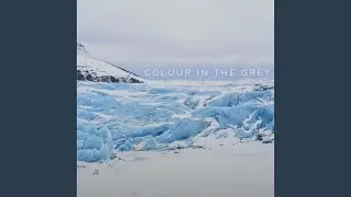 Colour In The Grey