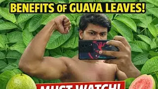 #2026fitnessgoals #HerbalFitnessKaran Benefits of eating in morning #guava #leaves Must watch