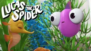 Dimples Wins The Staring Contest on Lucas The Spider + More Kids Cartoons