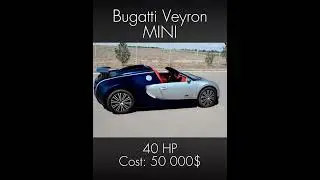 Bugatti Veyron MINI