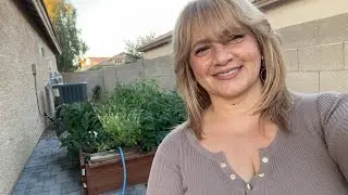 أسبوعي بدون فلتر 