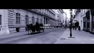 HEINLEIN - Vienna Calling [Falco Cover] (2021) // Official Music Video //